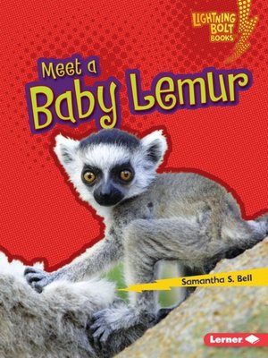 Meet a Baby Lemur - Audiobook